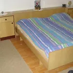 Cihorich Dugi Rat